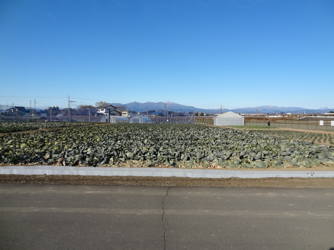 gunma111228.jpg